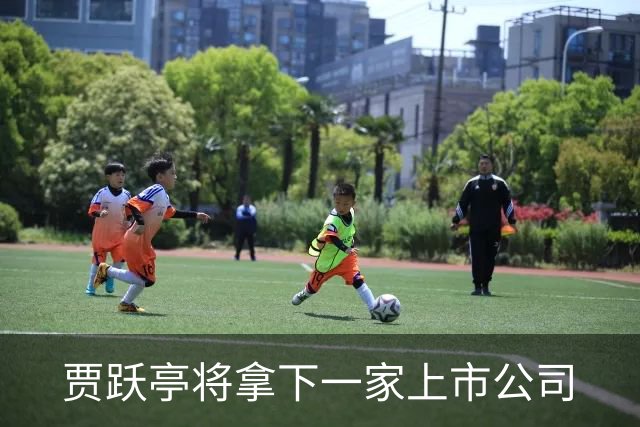 贾跃亭将拿下一家上市公司